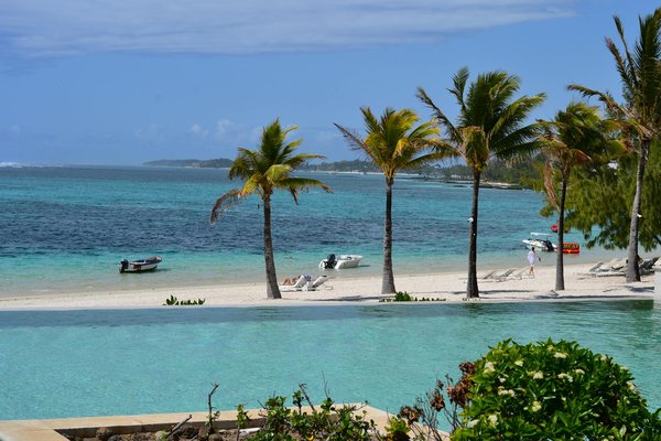 Comment planifier une croisière sur les fjords de Patagonie pour observer les glaciers?